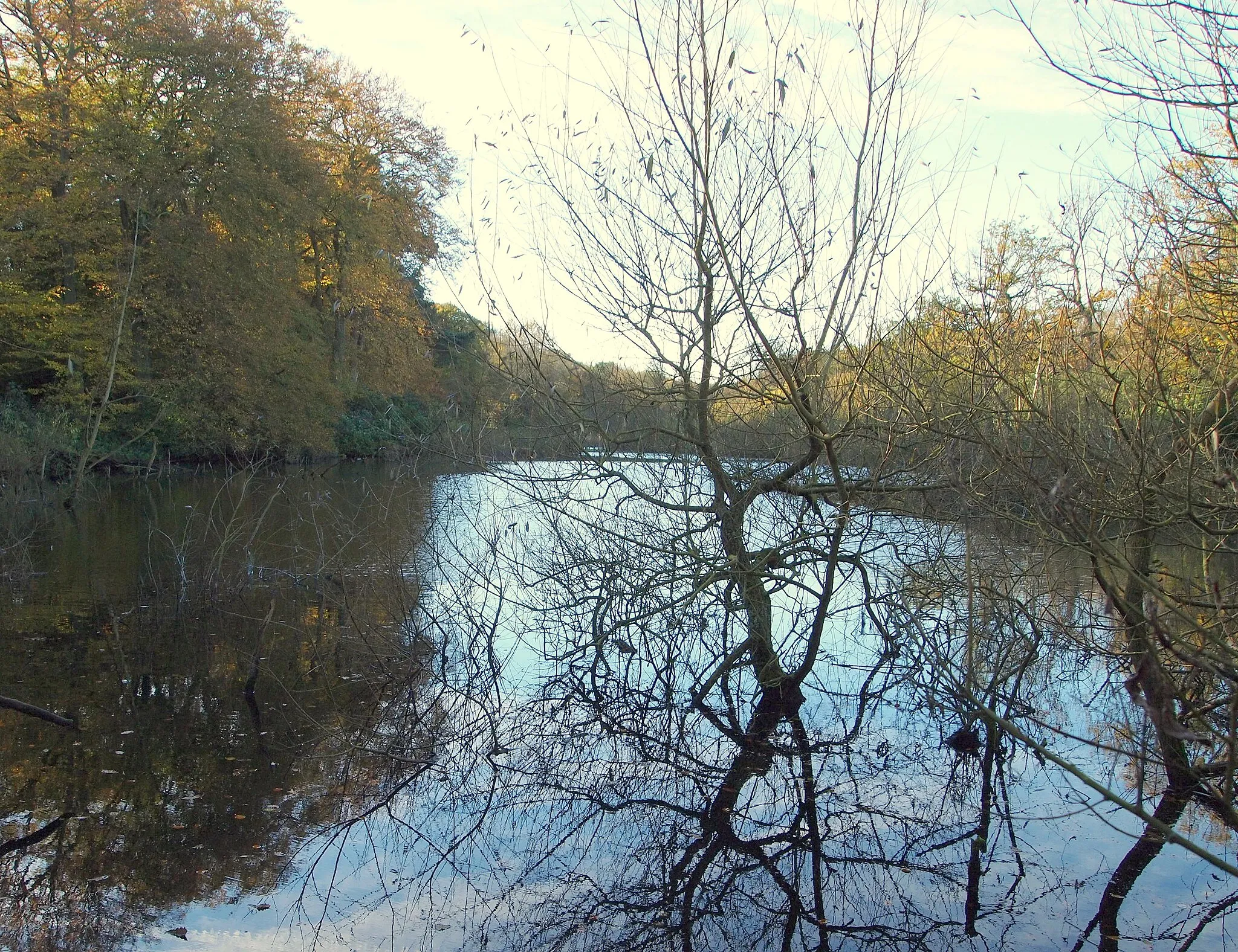 Photo showing: Cave Pond, Fountain Dale, Ravenhead, Notts.