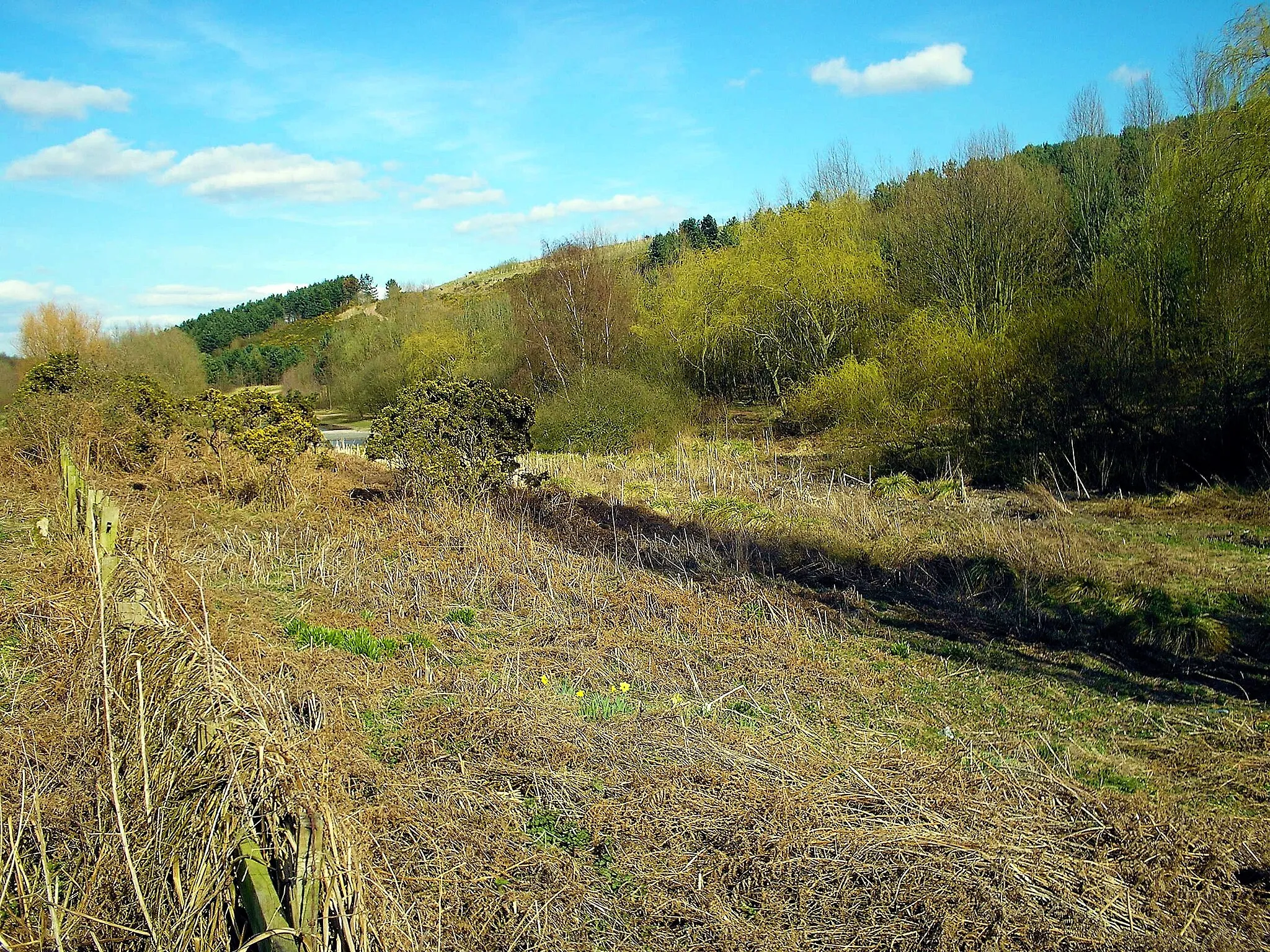 Photo showing: Clipstone Country Park