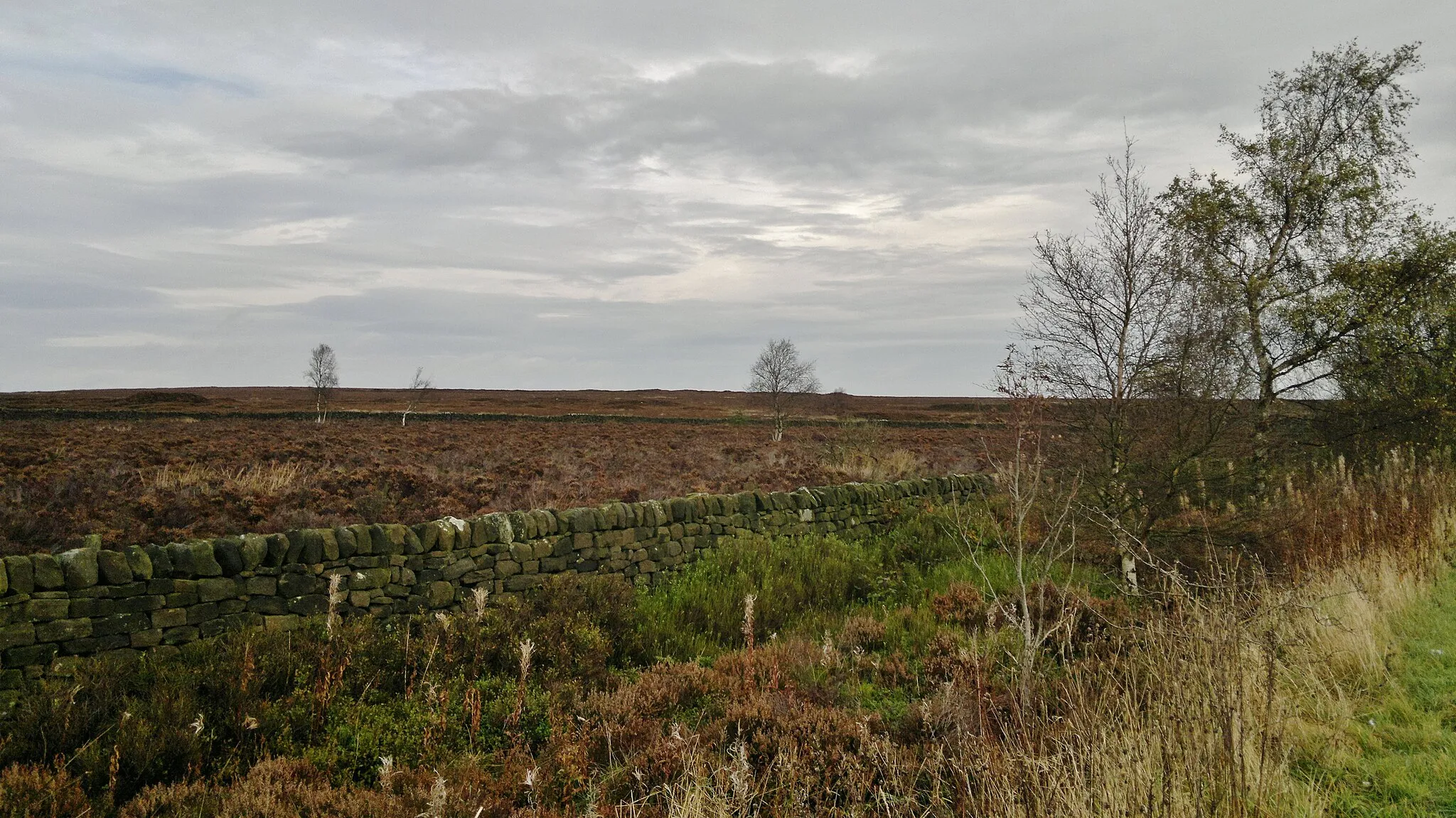 Photo showing: A moorland view above Rowsley