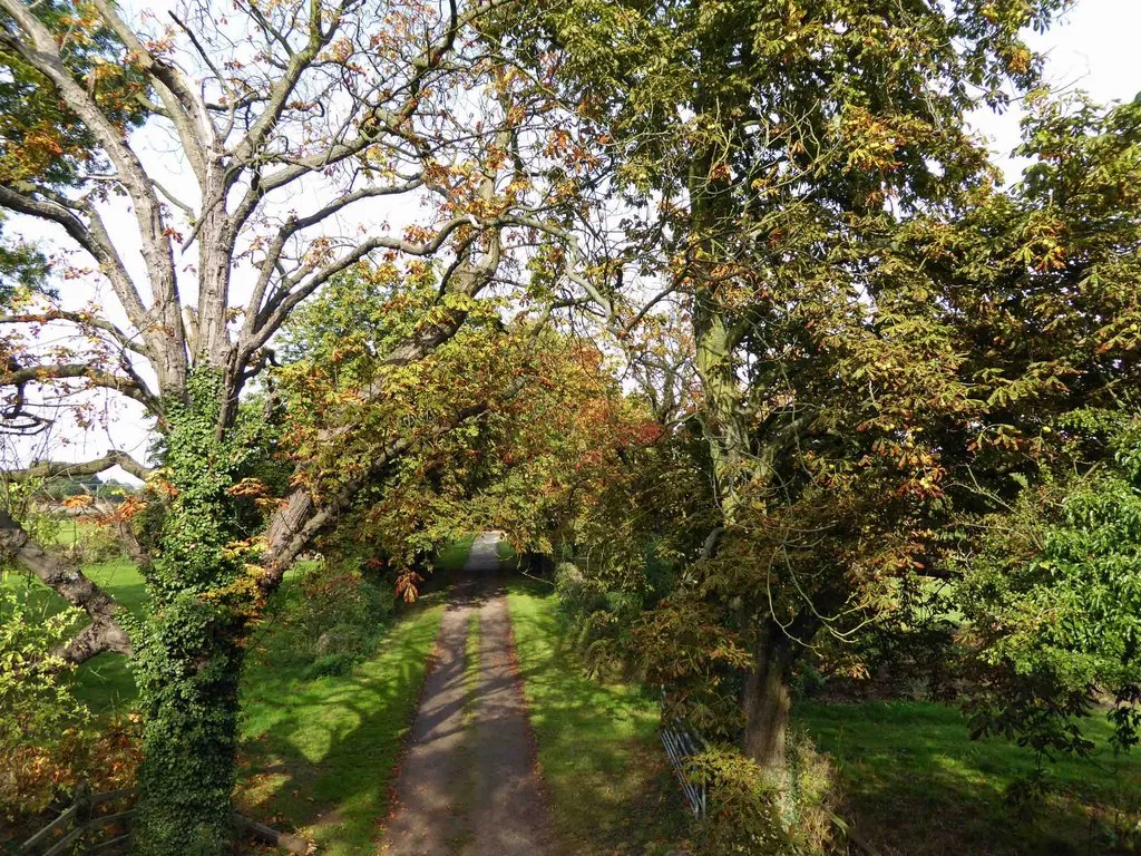 Photo showing: Access road to Spring's Farm from a bridge over on the Southwell Trail