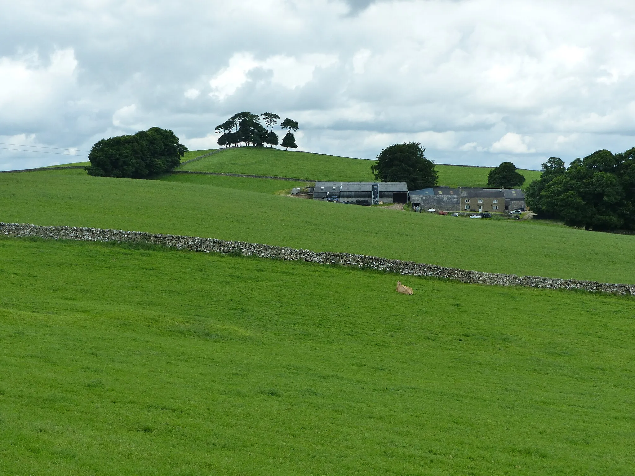 Photo showing: Moat Low bowl barrow: Scheduled Monument in the parish of Newton Grange, Derbyshire Wikidata has entry Moat Low bowl barrow (Q17650867) with data related to this item.