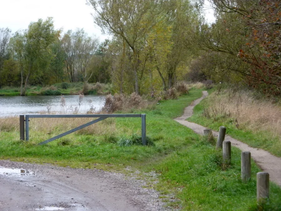 Photo showing: Approaching a small fishing lake, Carr Vale