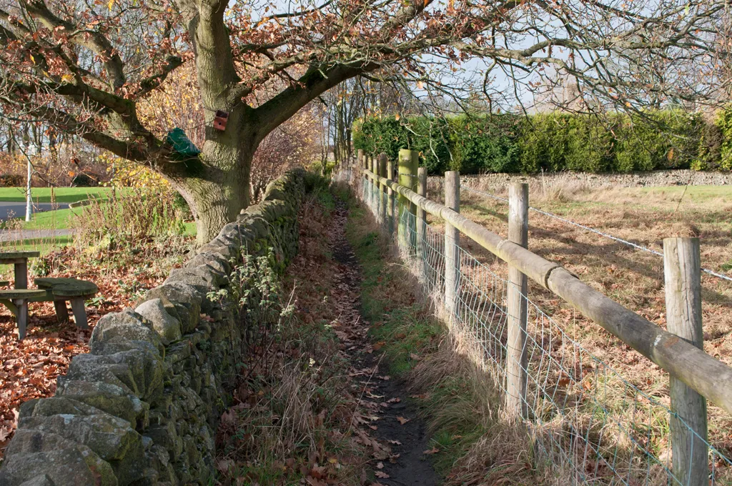 Photo showing: Footpath towards Hockerley