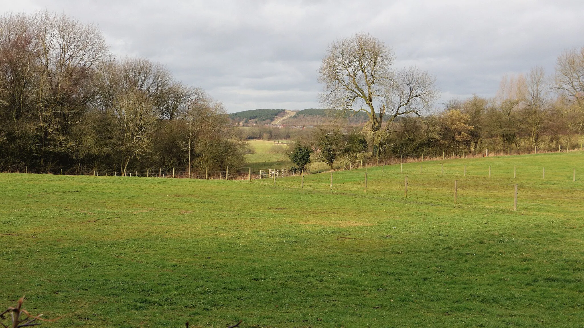 Photo showing: Silverhill Wood