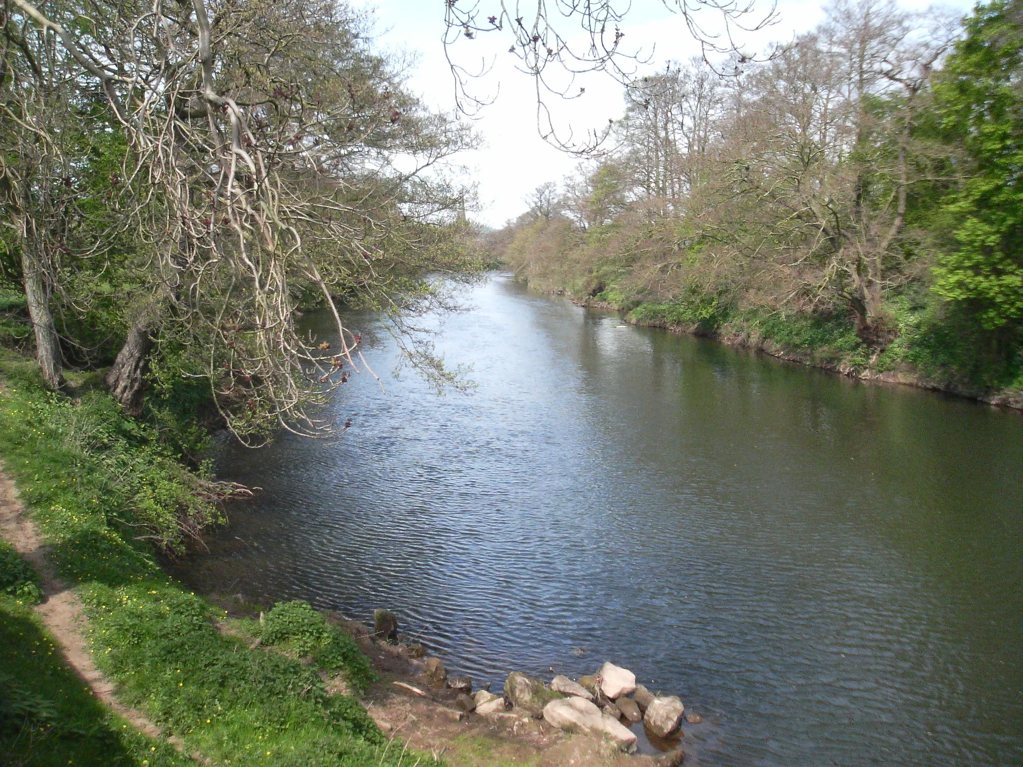 Photo showing: The River Derwent, just south of Duffield.