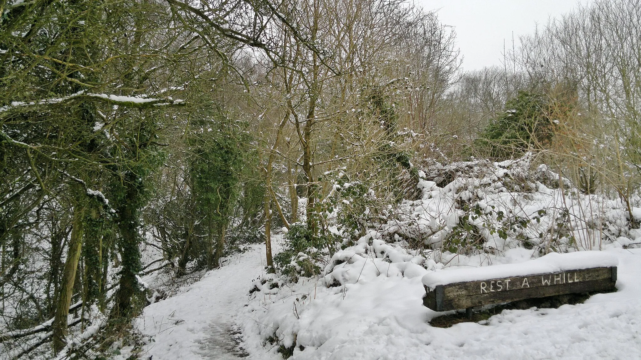 Photo showing: On the Drone Valley Way