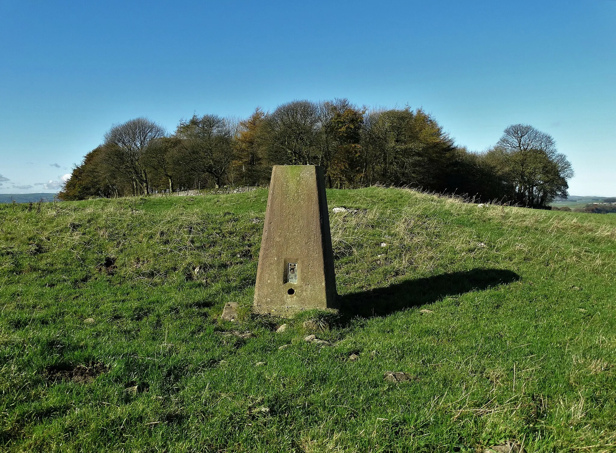 Photo showing: Triangulation pillar on Aleck Low Wikidata has entry Aleck Low bowl barrow (Q17650603) with data related to this item.