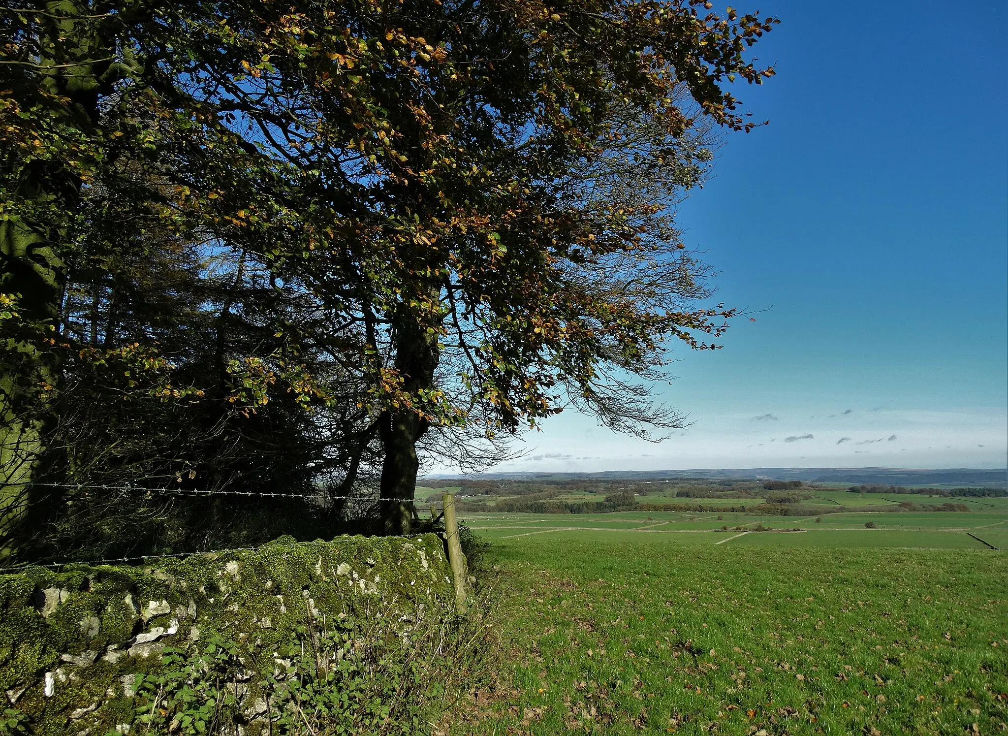 Photo showing: Looking to the north east from Aleck Low