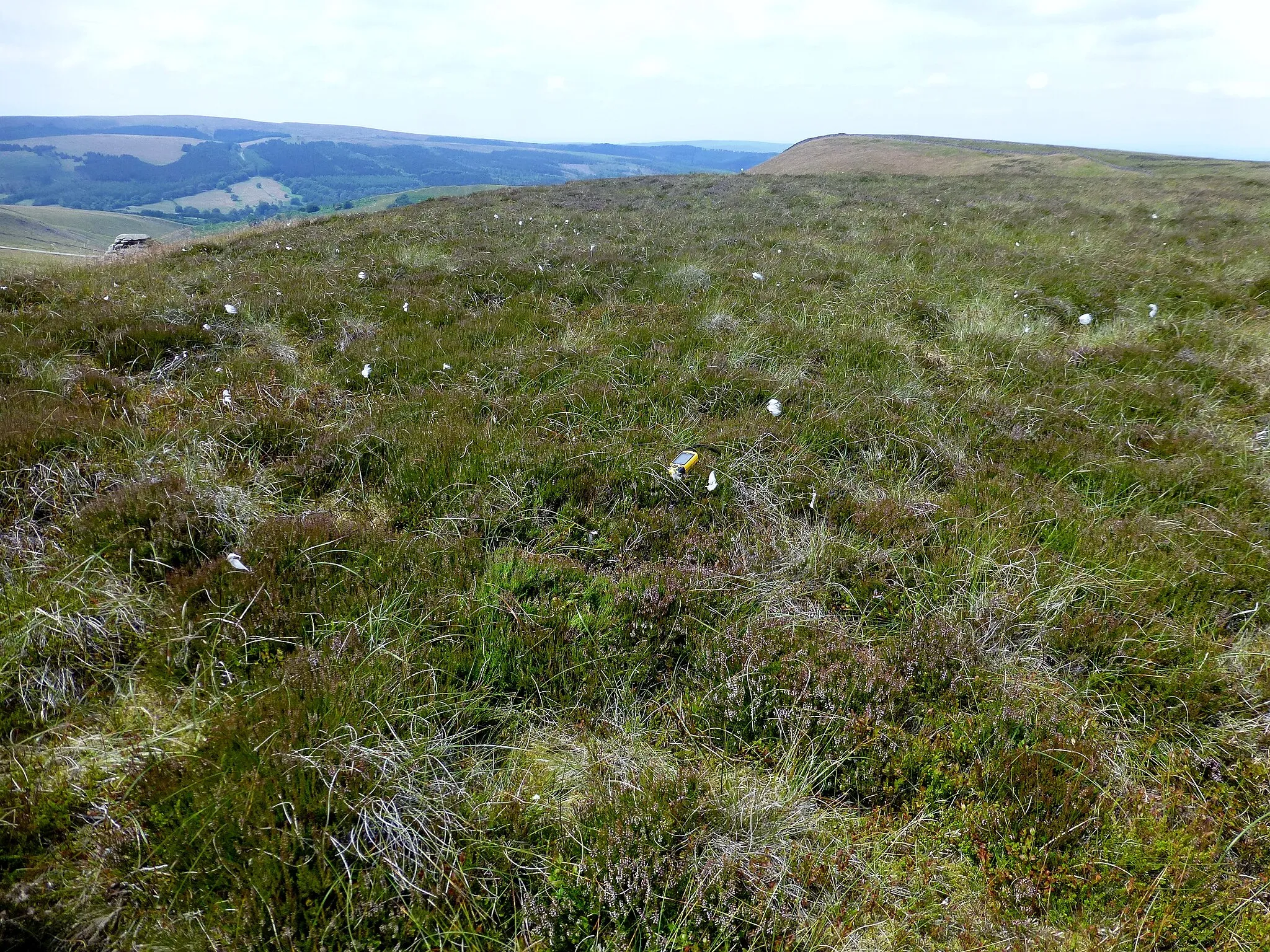 Photo showing: Combs Head