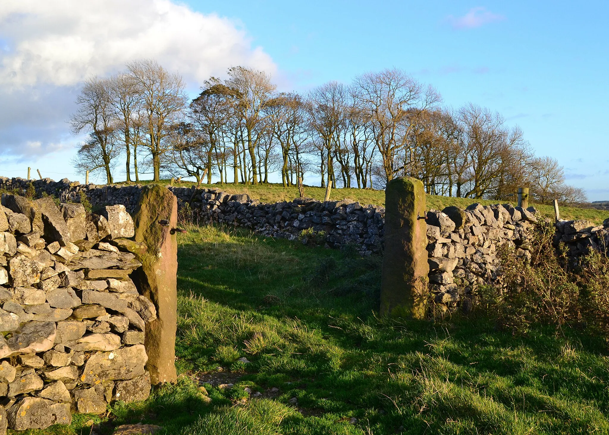 Photo showing: Coppice and gateway south of Carder Low