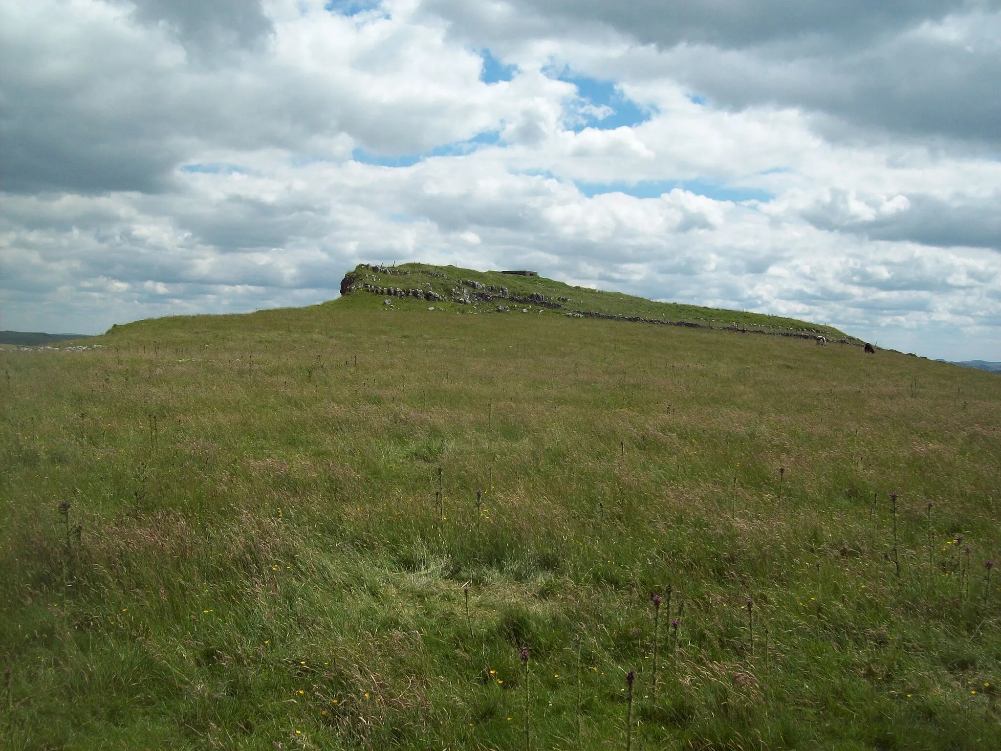 Photo showing: Outcrop on High Edge