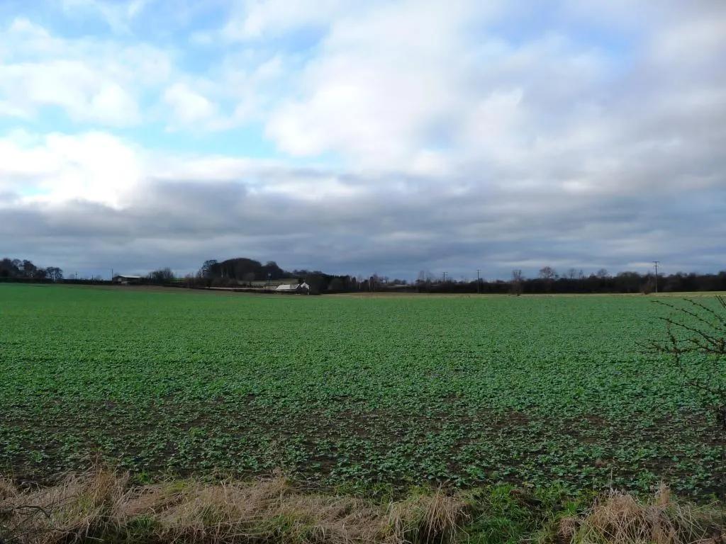 Photo showing: Arable land between Water Lane and Potwells Farm