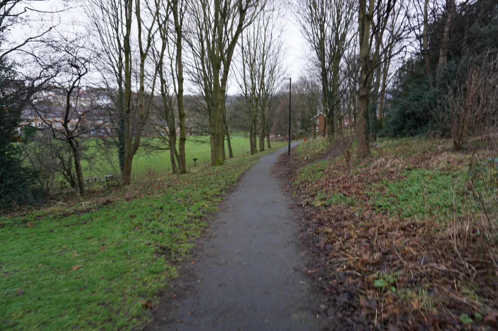 Photo showing: Barbers Field, Sheffield