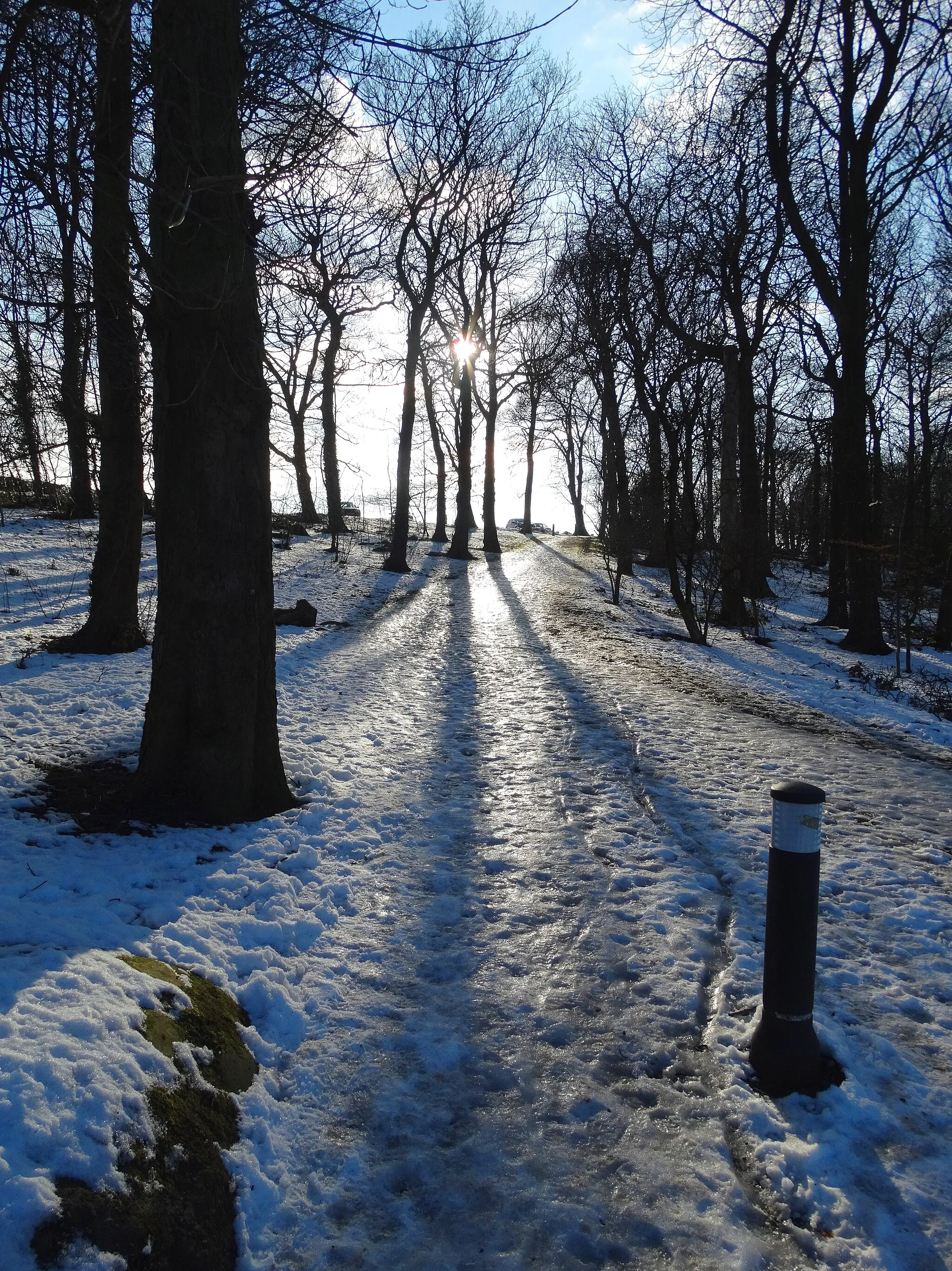Photo showing: Icy path in Graves Park, Sheffield