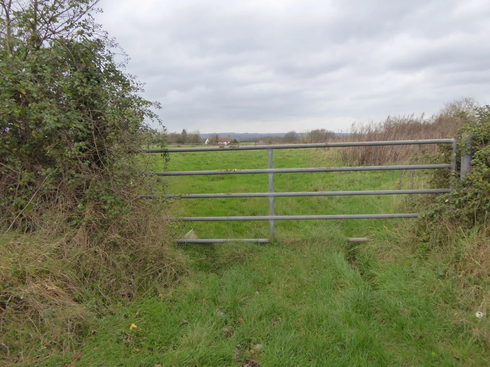 Photo showing: A little-used gate, Knapp