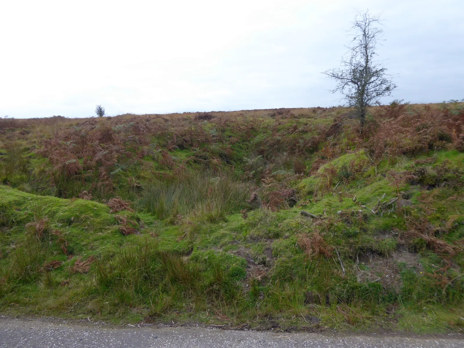 Photo showing: Disused quarry at Ridgway Cross