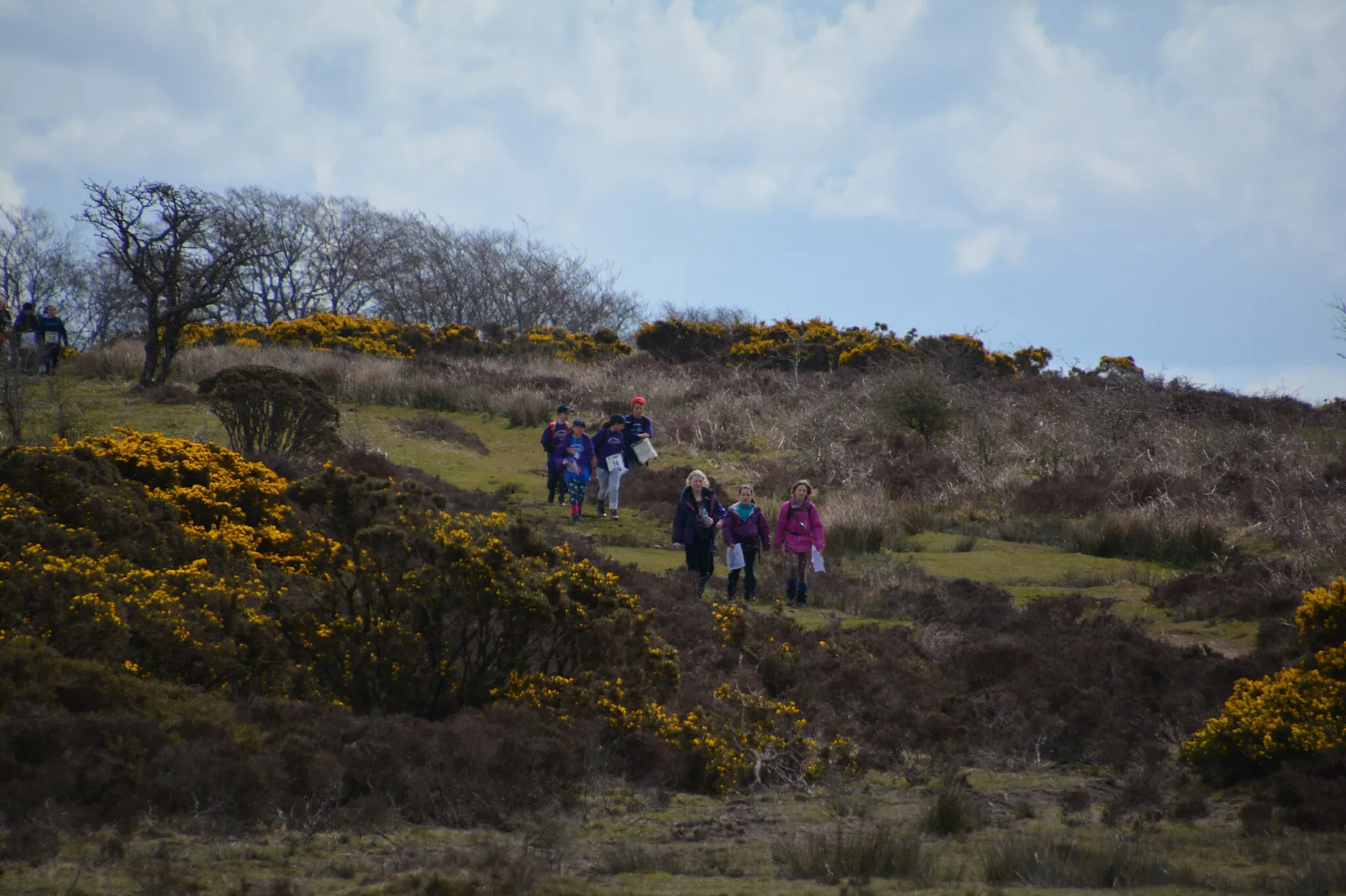 Photo showing: West Somerset : Exmoor Scenery