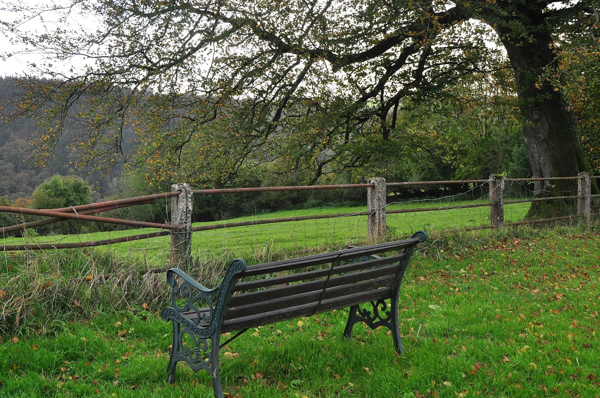 Photo showing: West Somerset : Grassy Field & Bench