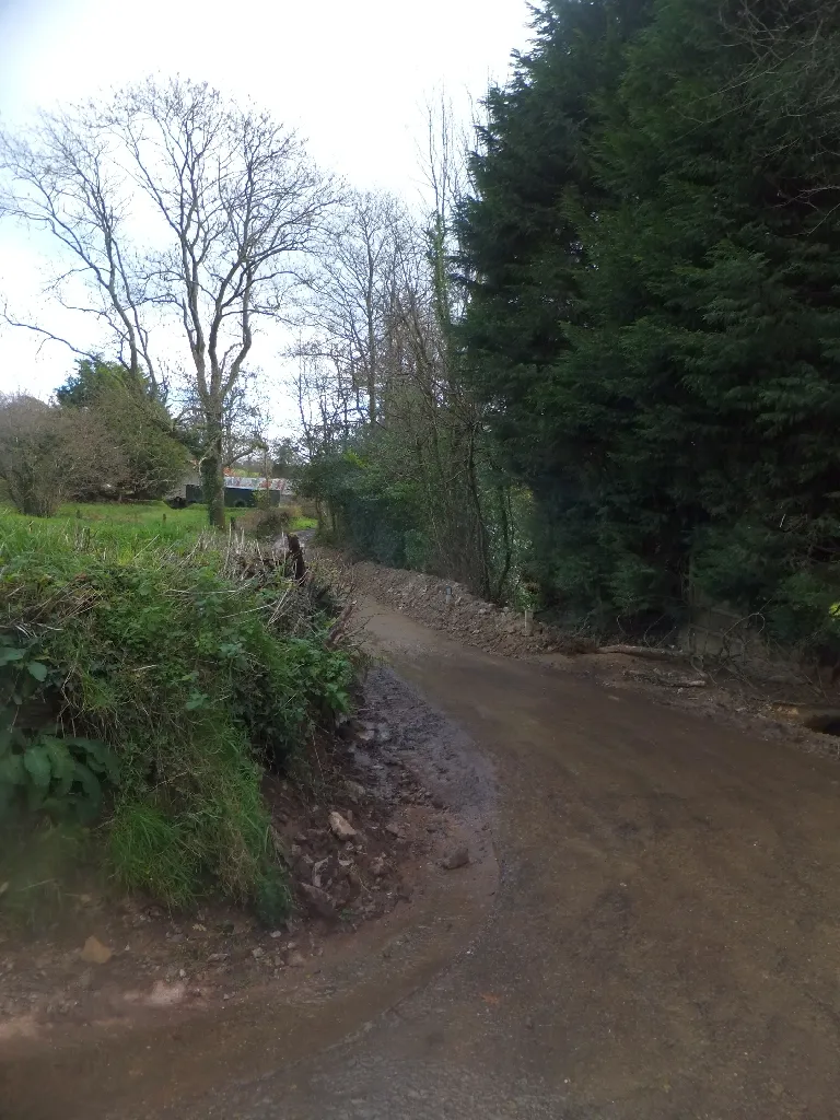 Photo showing: At Hutchingshayes: the road to Combe Raleigh