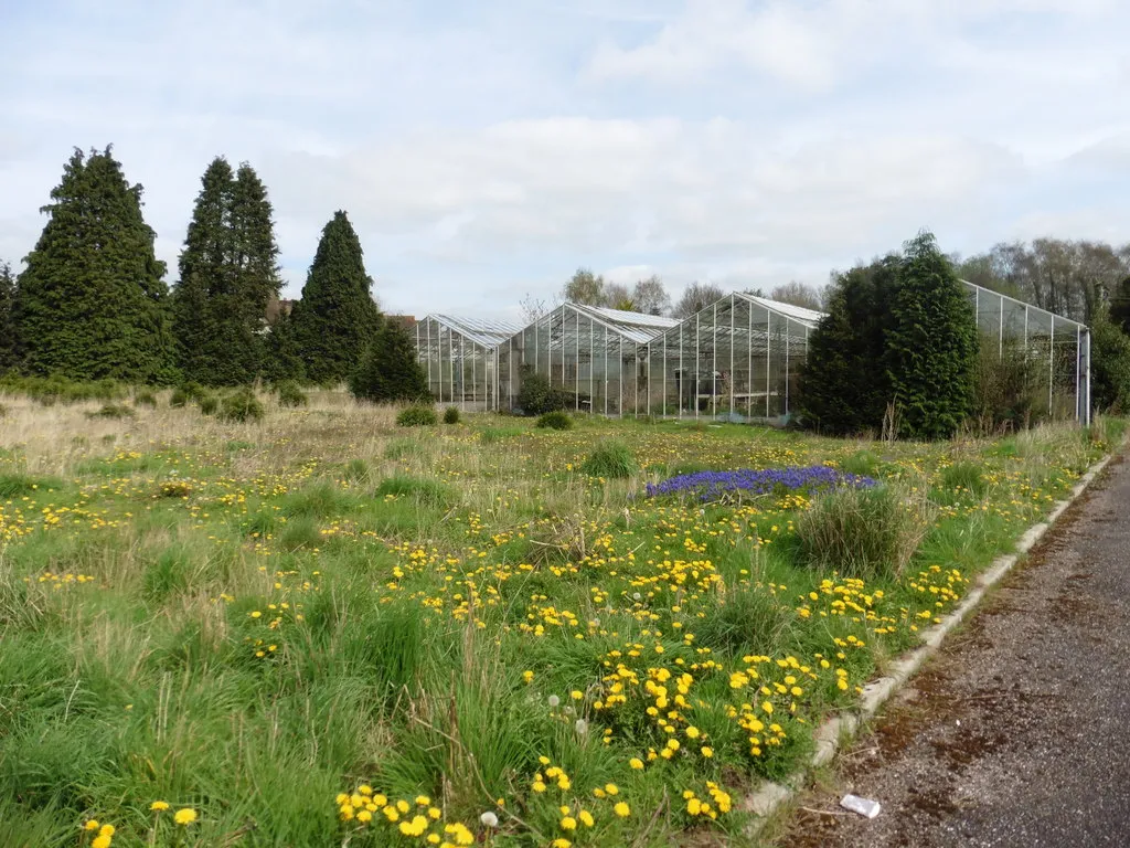 Photo showing: Abandoned glasshouses at Burlands Mead
