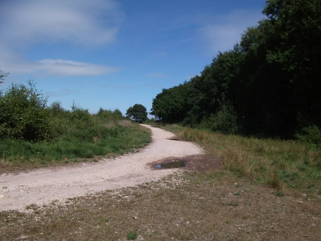 Photo showing: A quiet corner of Mutters Moor