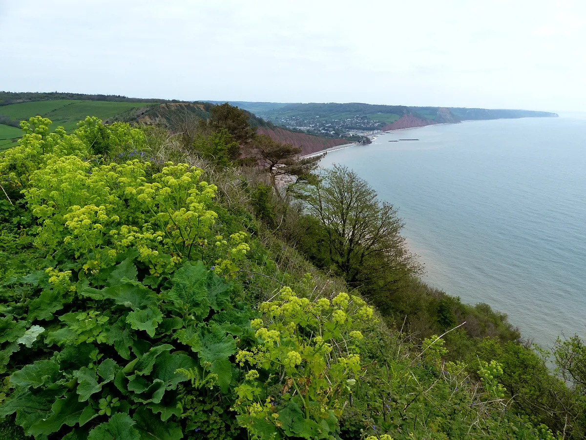 Photo showing: View from High Peak