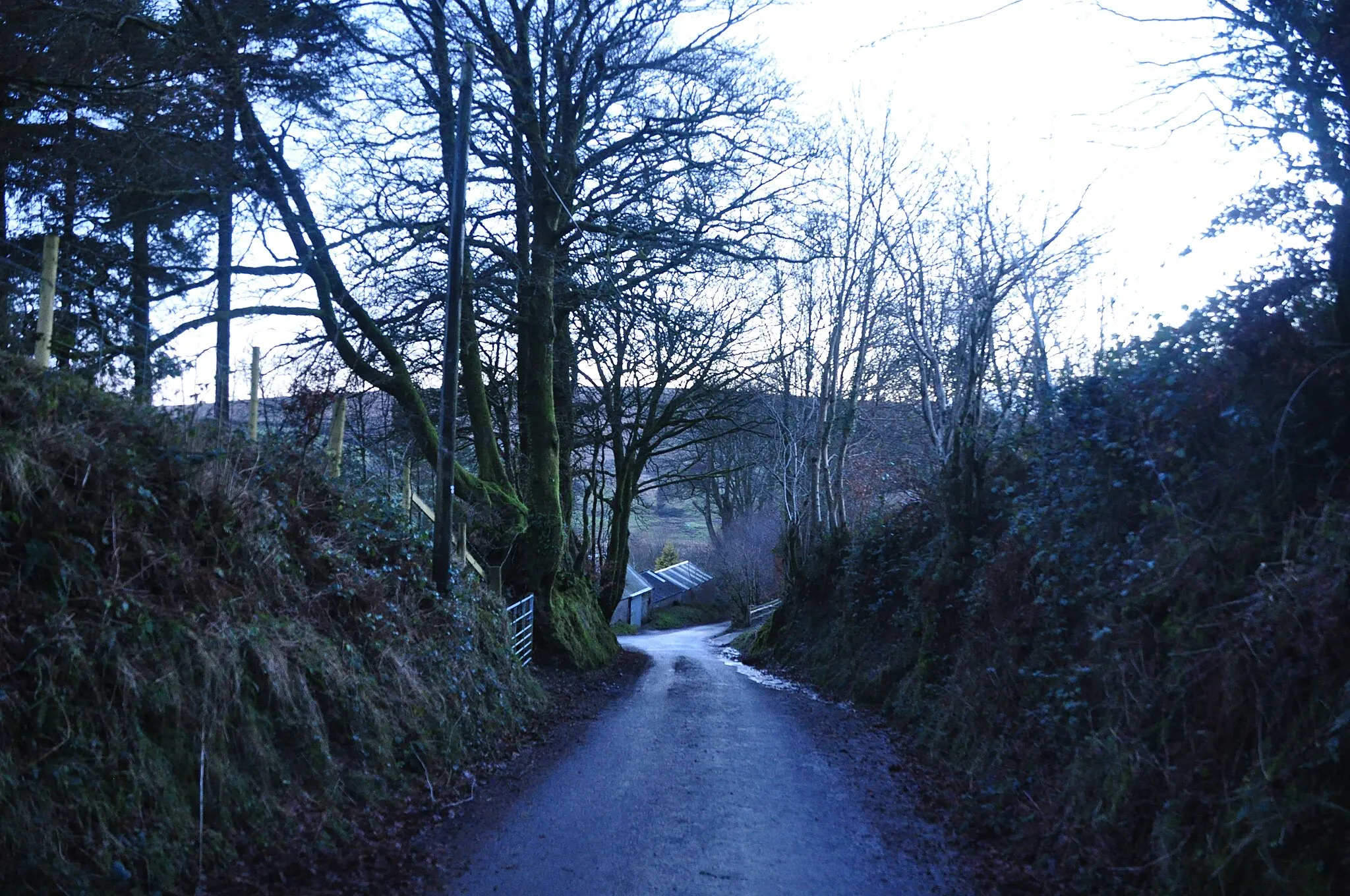 Photo showing: West Somerset : Landacre Lane