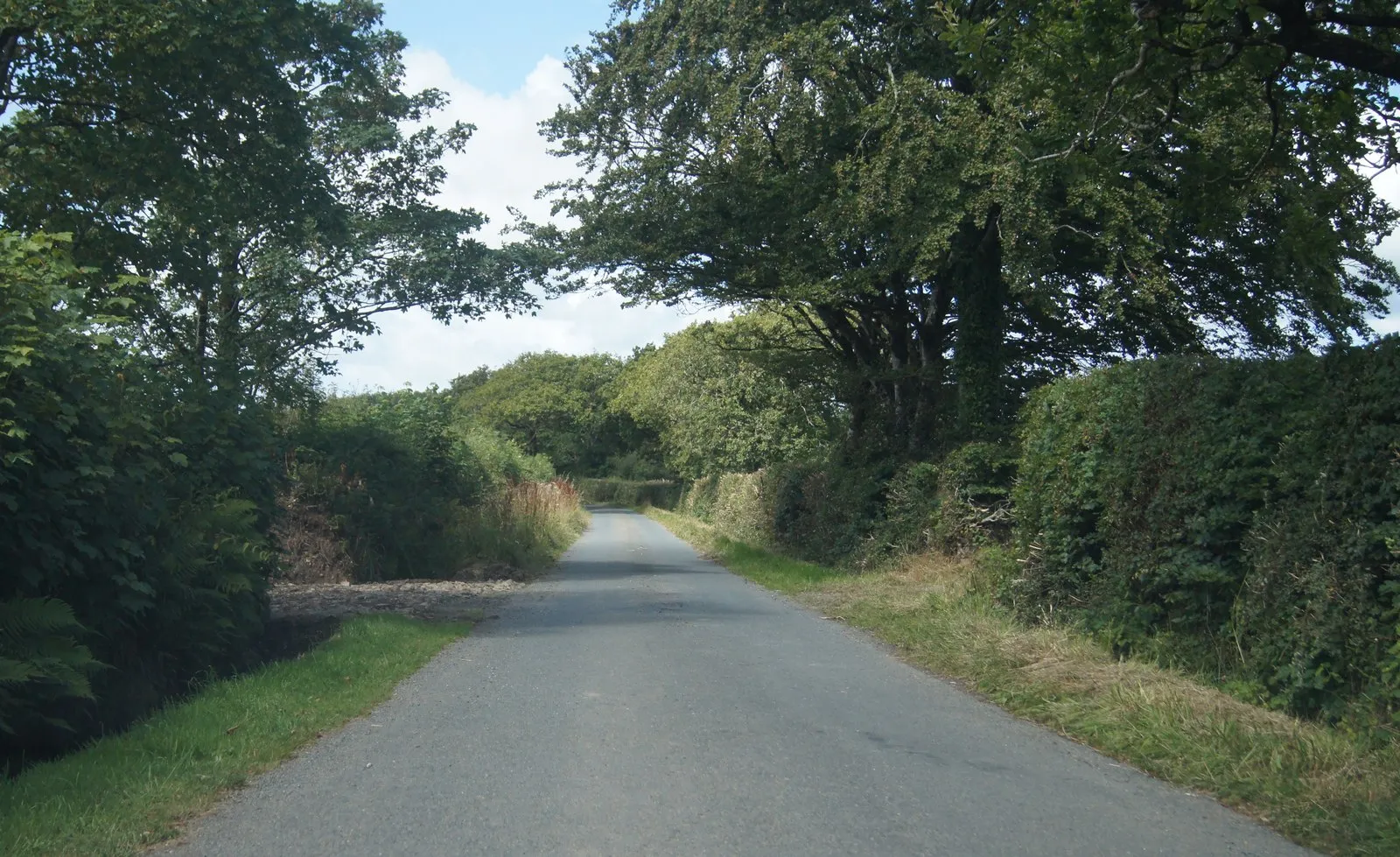 Photo showing: Country lane near Sanders Cross