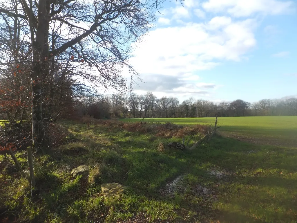 Photo showing: An old broad track to Farm Cleave