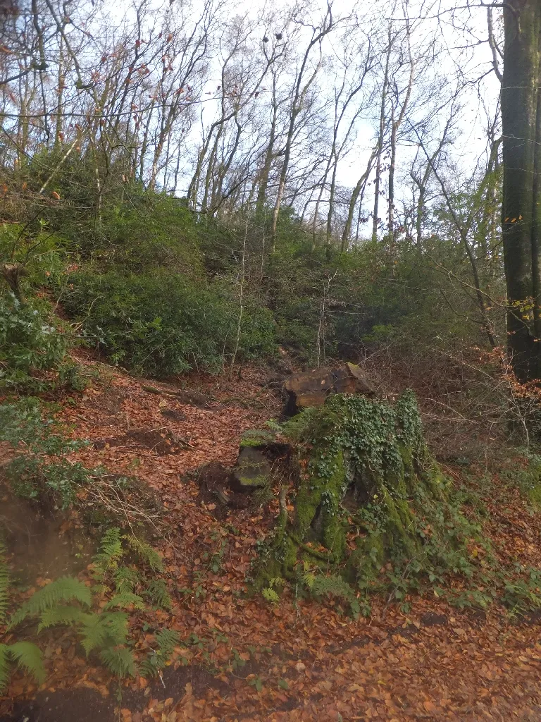 Photo showing: An overgrown former quarry on St Cyres' Hill