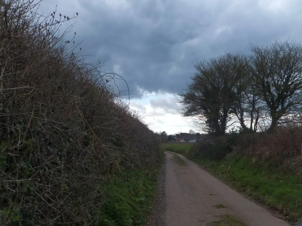 Photo showing: Approaching Colestocks