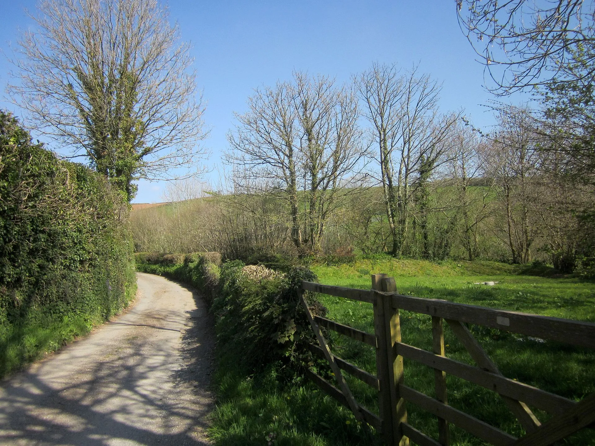 Photo showing: Lane at Belsford