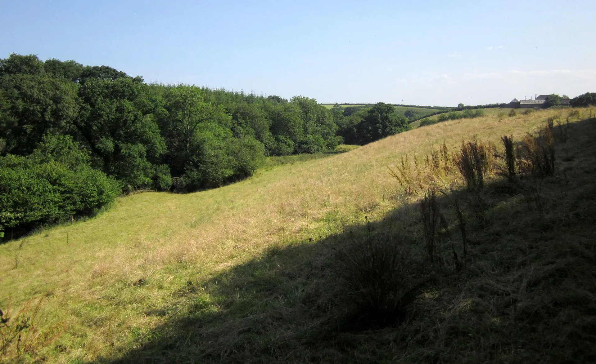Photo showing: Adworthy Brook valley