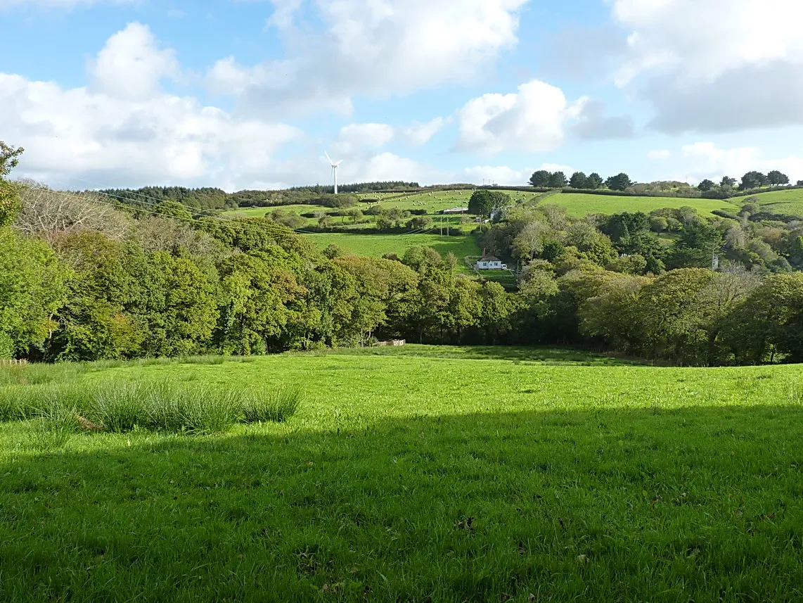 Photo showing: Across the valley of the Neet towards Budges Farm