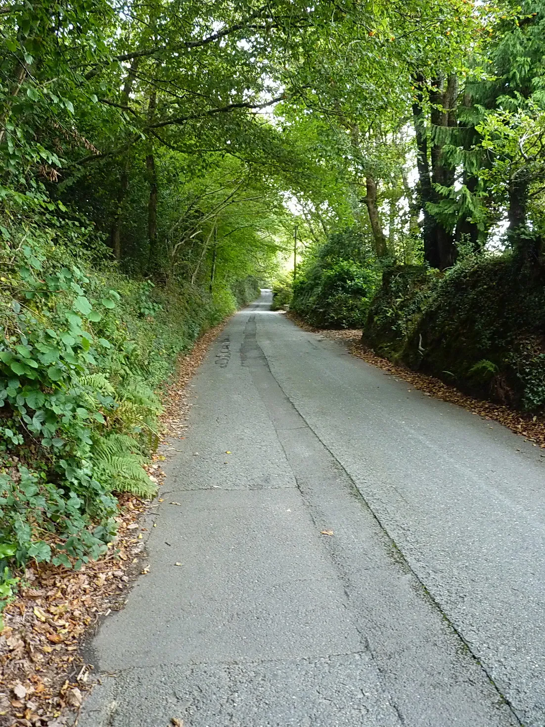 Photo showing: A stretch of the 'old road'
