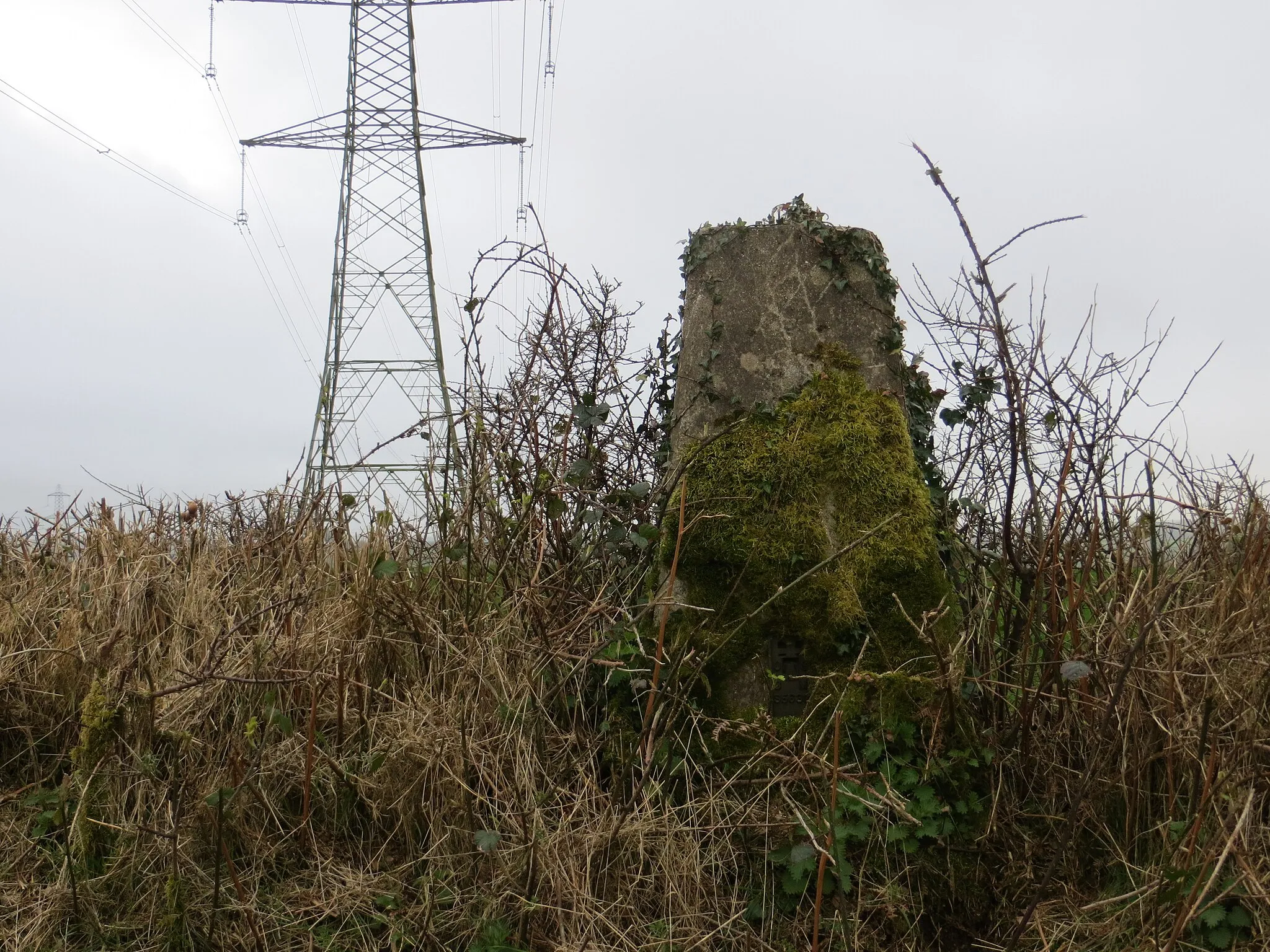 Photo showing: A hedge topping Triangulation Pillar standing beneath Power Lines at Derworthy