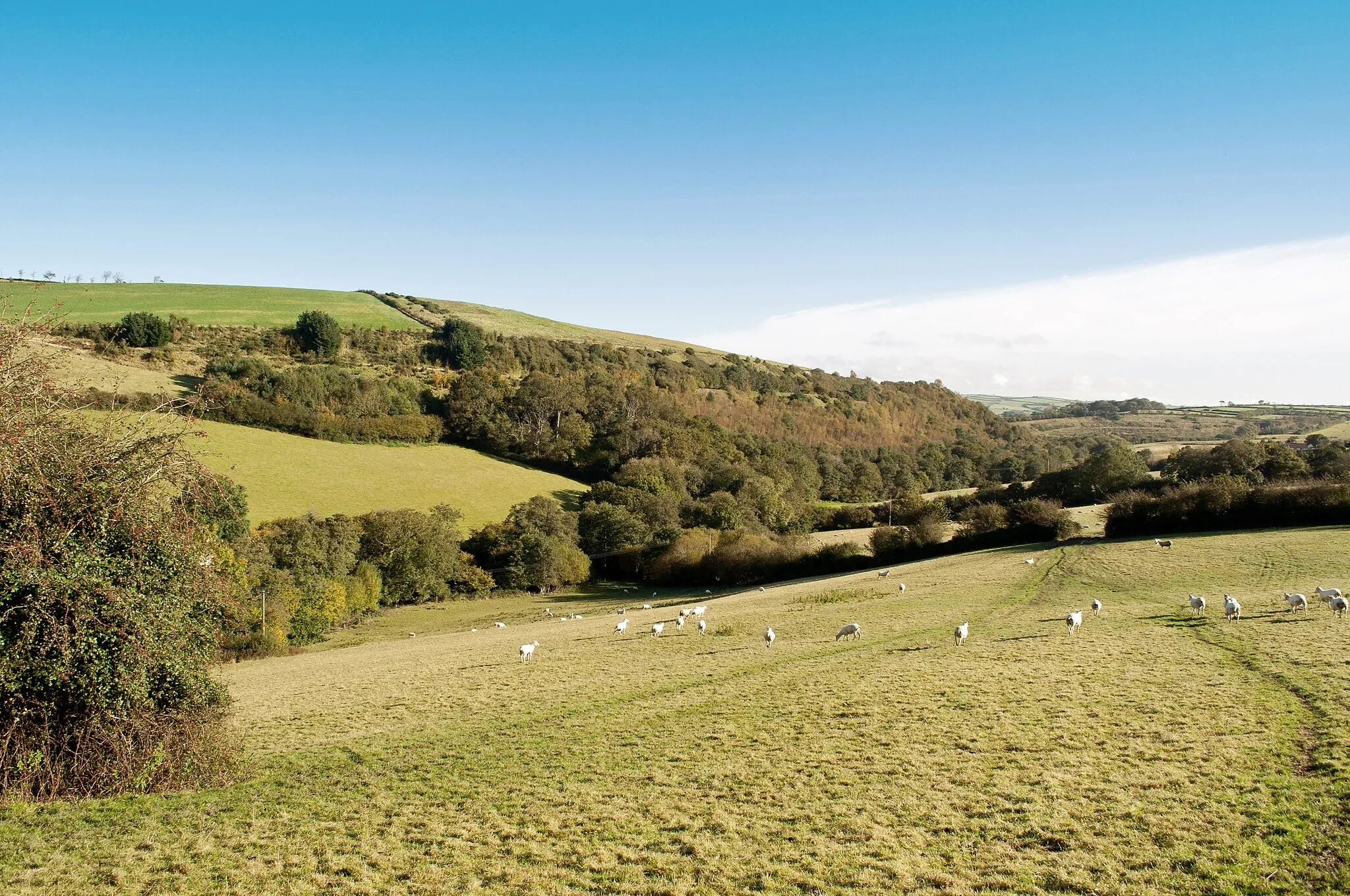 Photo showing: A Valley Through Which Runs Venn Stream