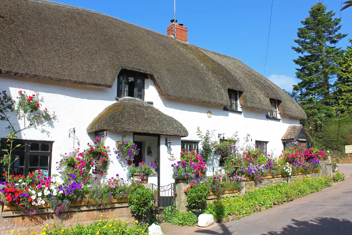 Photo showing: Cottages at Yeoford