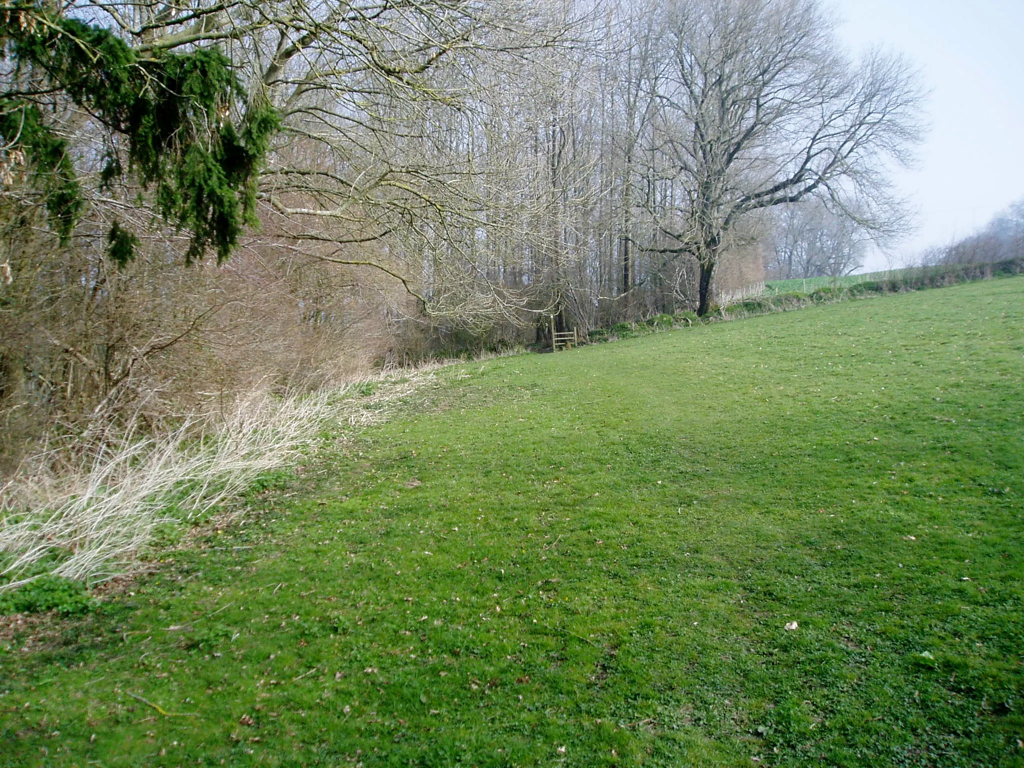 Photo showing: Footpath approaching woods near Weycroft Hall