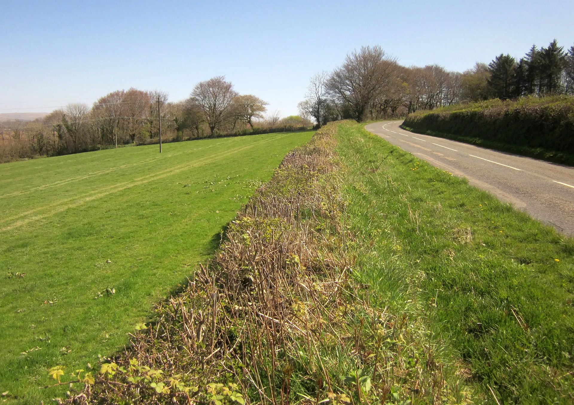 Photo showing: B3257 approaching Orestocks