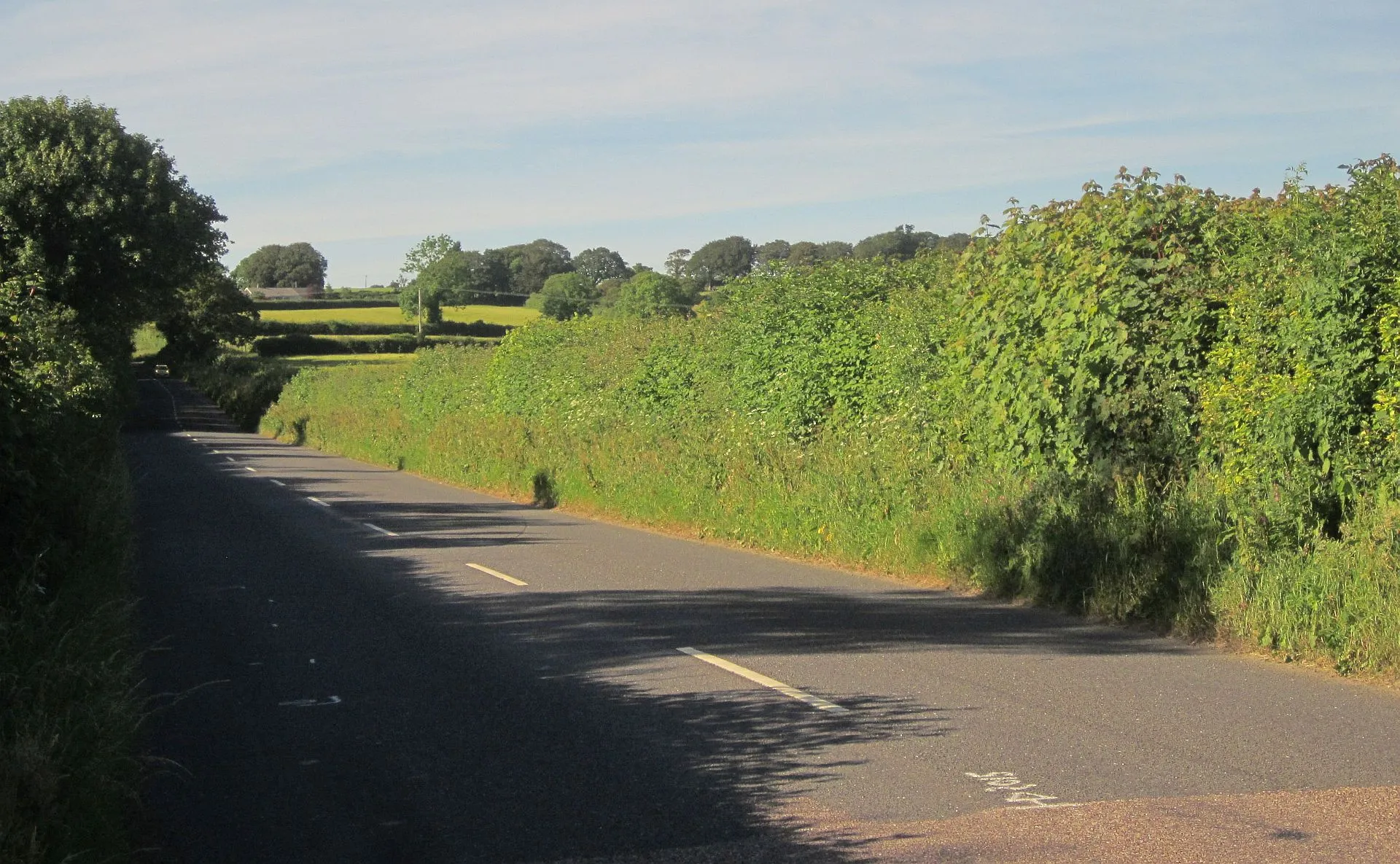 Photo showing: B3362 near Collacombe Barton