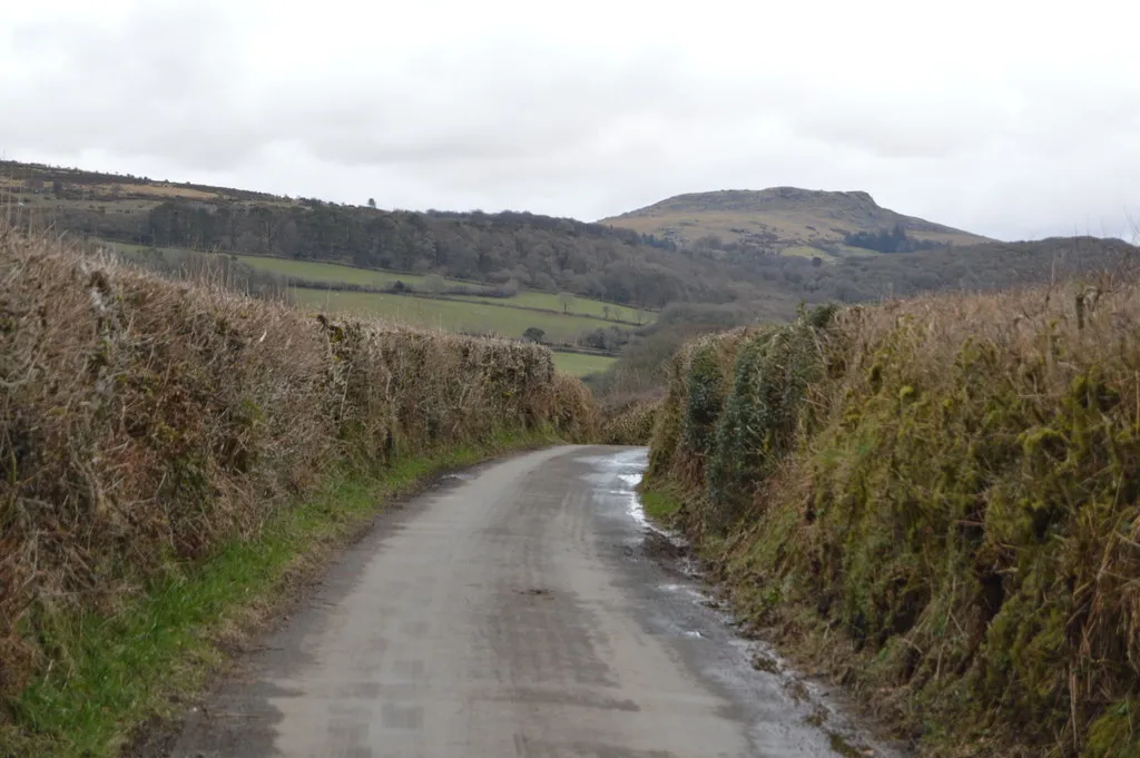 Photo showing: A Cornish lane to Meavy