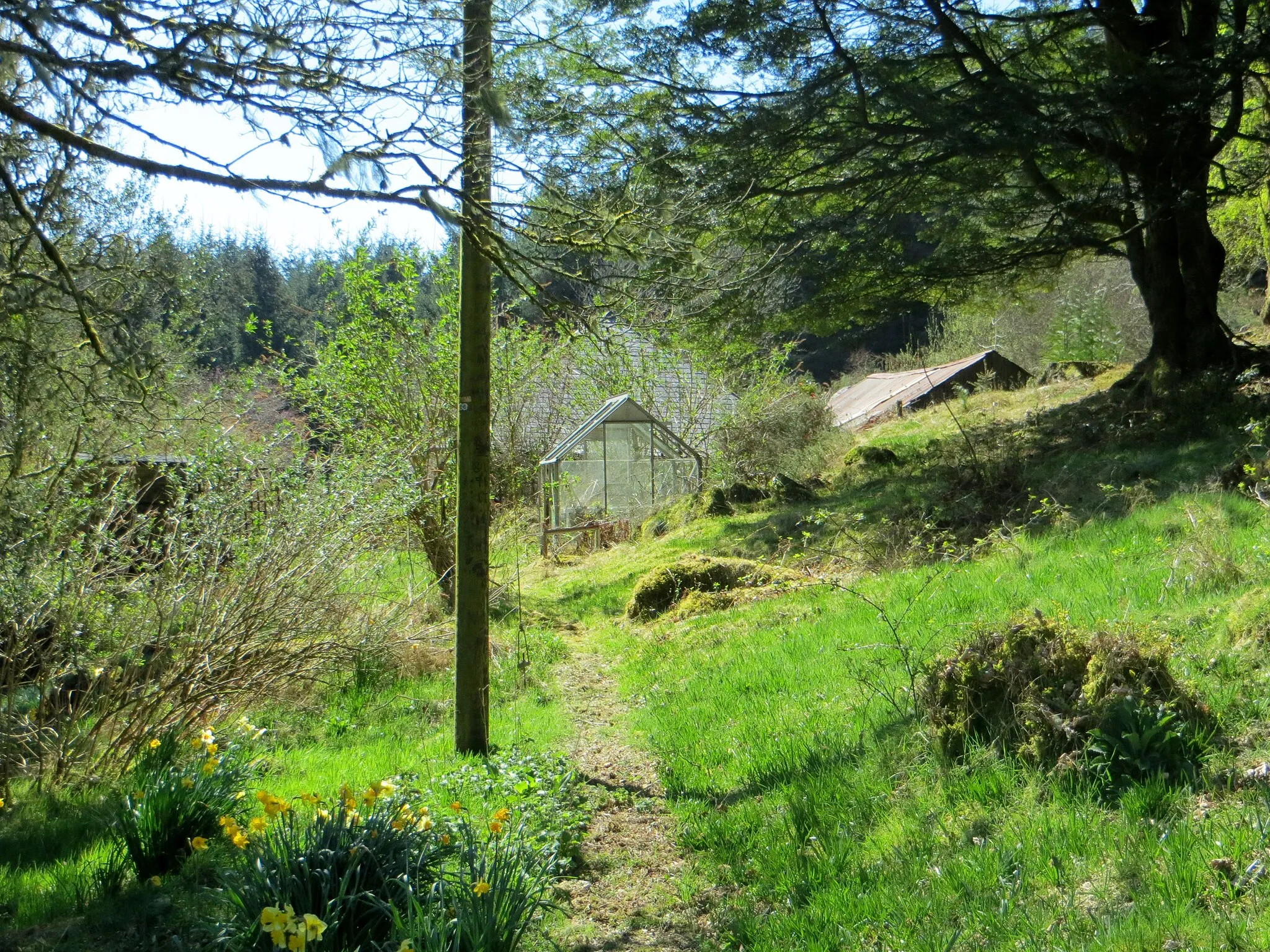 Photo showing: Abandoned garden - April 2015