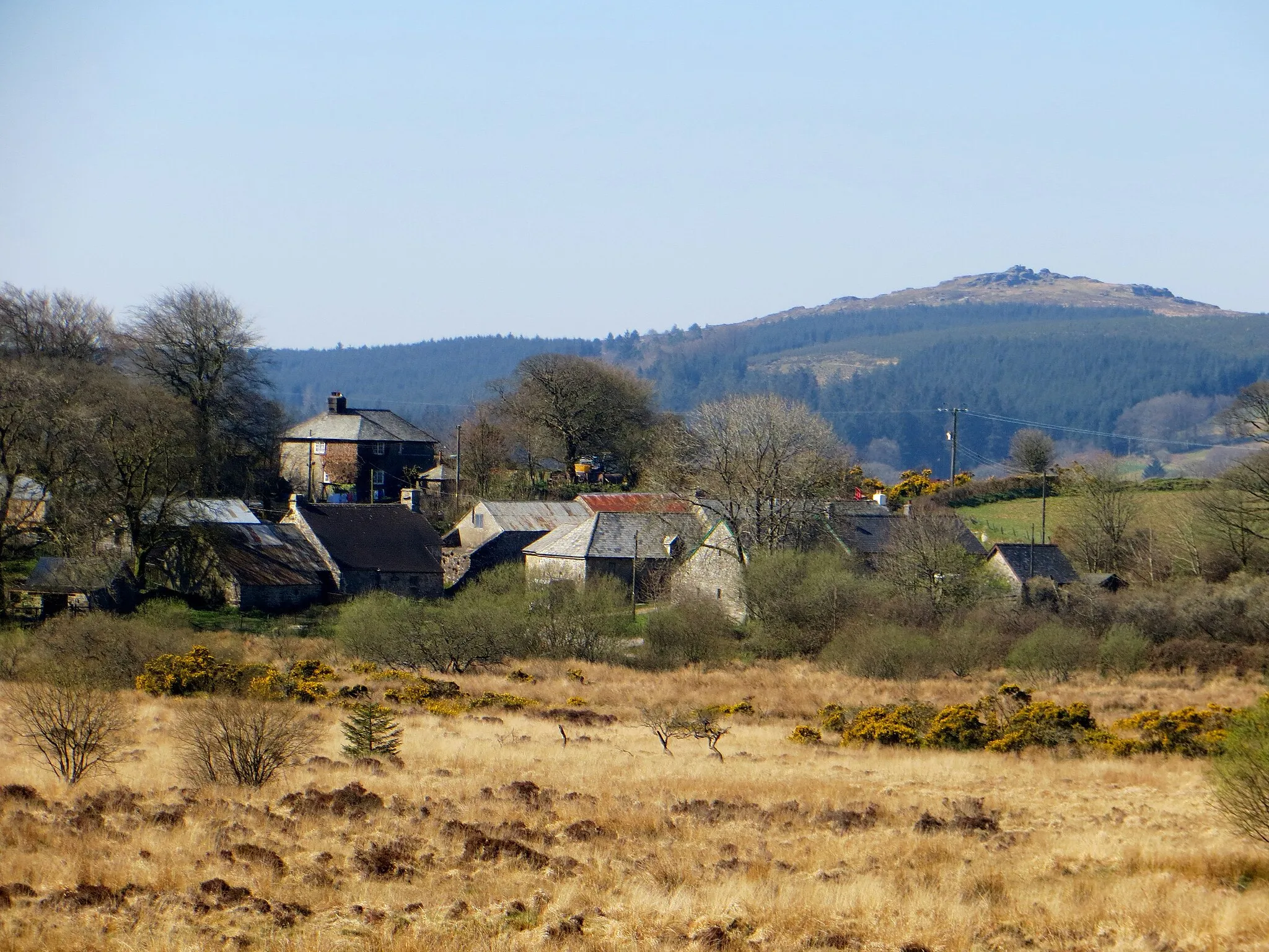 Photo showing: Bellever from near Soussons - Dartmoor - April 2015