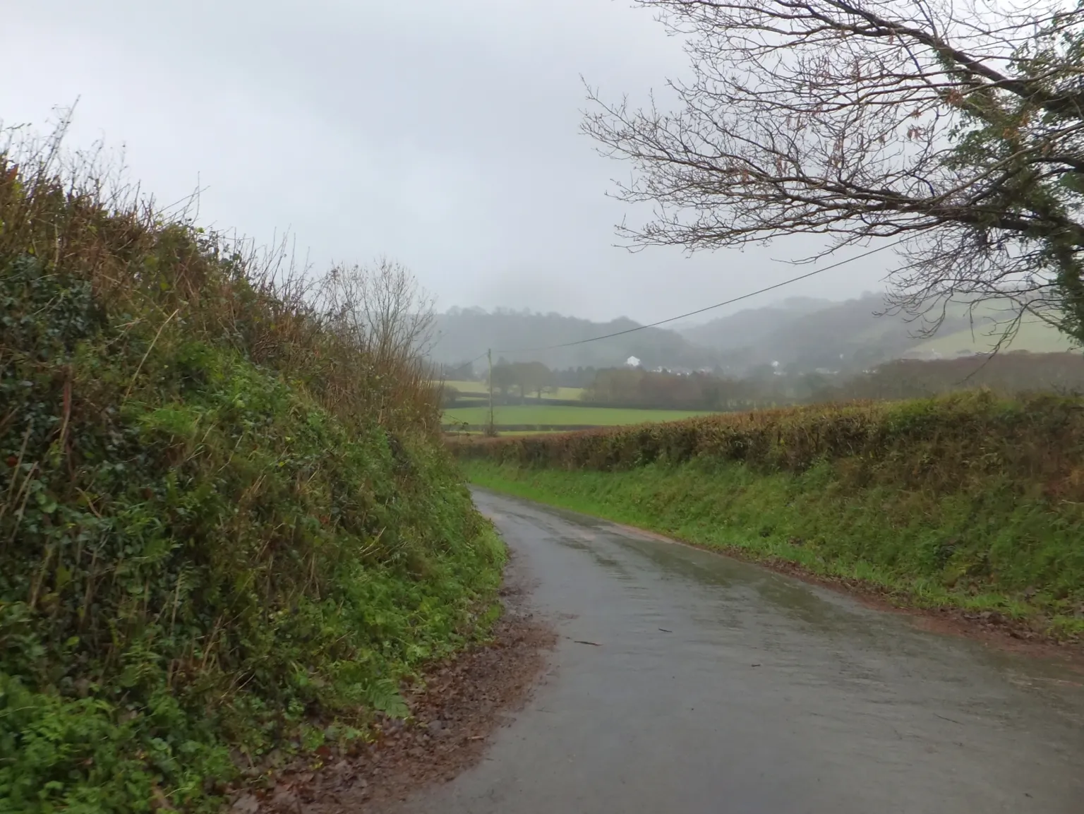 Photo showing: A rainy day at Marystow