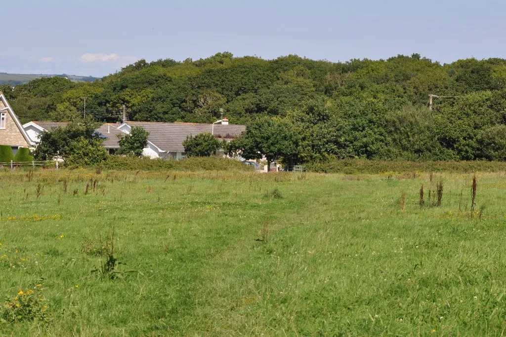 Photo showing: Crossing a field towards Allenstyle Road on the footpath from Bickleton