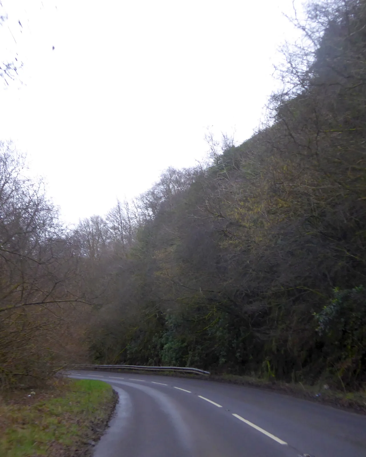 Photo showing: A39 in Holwell Wood
