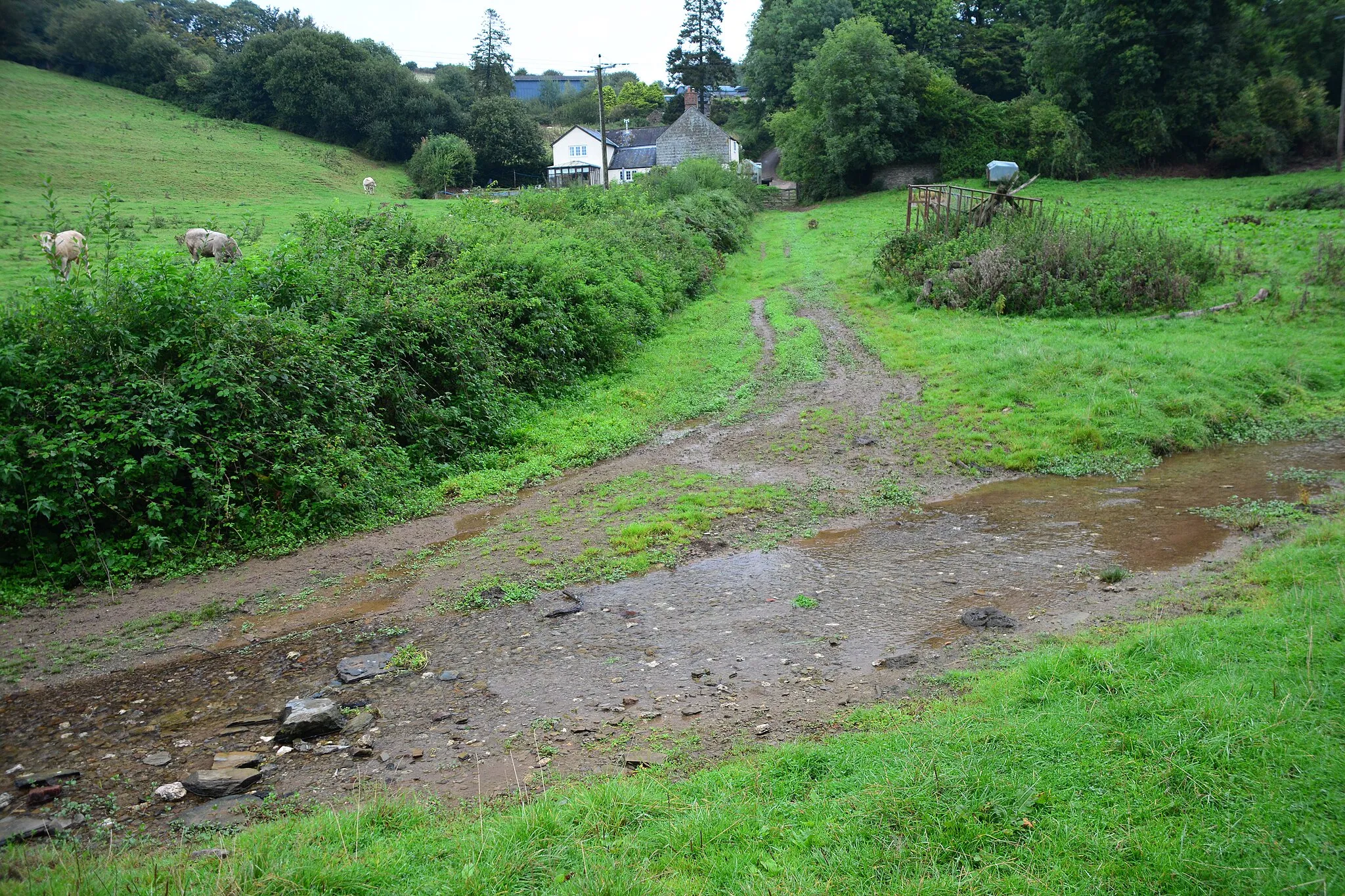 Photo showing: Ford at Lower Court Farm