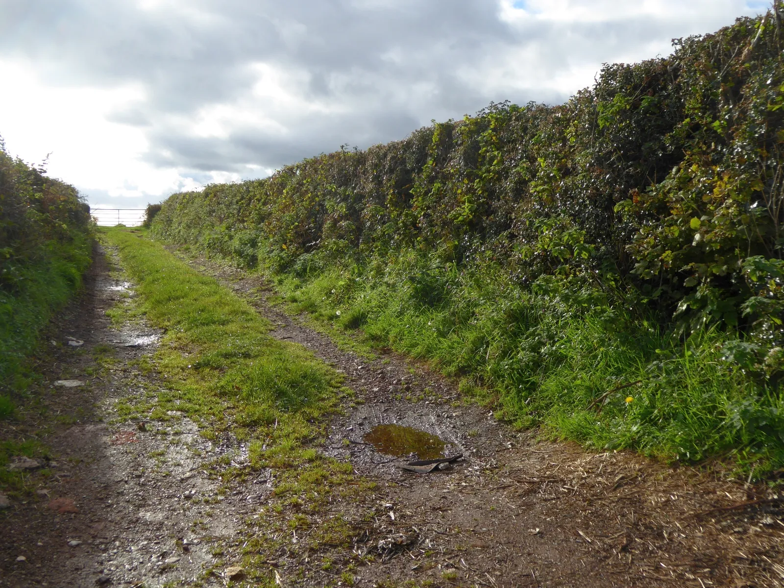 Photo showing: Aptor Lane