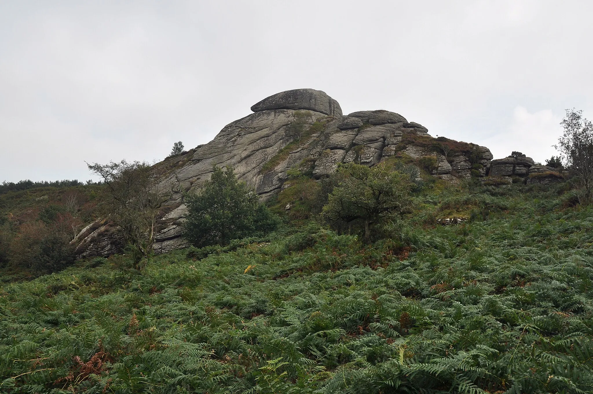 Photo showing: The North face of Blackingstone Rock, near Moretonhampstead on eastern Dartmoor.